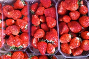 Fraises Clery - Laulan