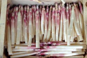Asperges - Mercier
