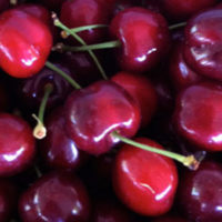 Cerises - Gil